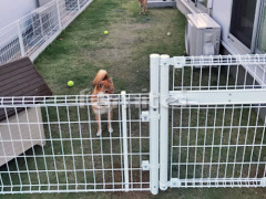 ��������� LIXIL�ꥯ���� �ϥ�����å�����N1�� �ҳ��� 08-10 �����ե���ʽ �ϥ�����åɥե���UF8�� �ɥå����