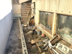 ����Ȳ��