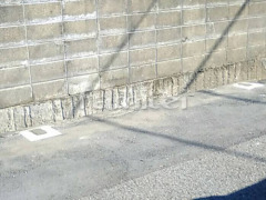 �����ݡ���ű��