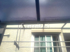 �ƥ饹�ѥͥ�Ž��ľ��