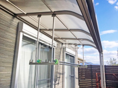 ʪ��������