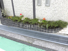 ���� ����