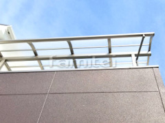 �٥�������Ž��