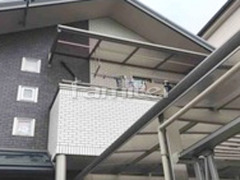 �٥�������Ž��