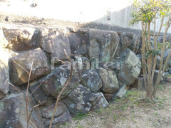 ��¸�� ���ϵͤ�