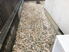 ������ �佤