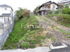 ���� Ȳ��