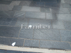 �饤�ȼ��� TAKASHO�������硼 ����ץ륰���ɥ饤��5��