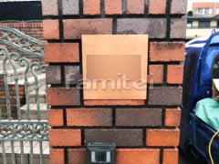 ɽ������