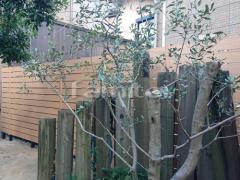 �ܱ����ե���ʽ F&F �ޥ��ƥ����å�