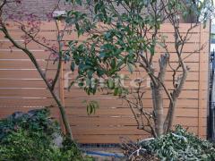 �ܱ����ե���ʽ F&F �ޥ��ƥ����å�