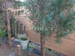 �ܱ����ե���ʽ F&F �ޥ��ƥ����å�