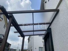 ������곰�� �Ƽ���դ�