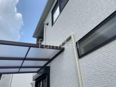 ������곰�����Ƽ���դ�