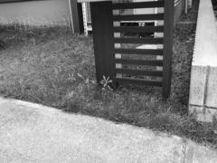 �ڴ֥��󥯥꡼��