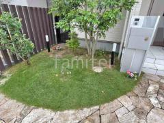 �����饤�Ⱦ��� Panasonic LED�ݡ���饤�� XLGE500BLZ