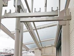 ʪ��������