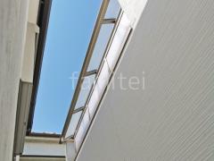 �ܱ����ѥͥ�(���� ����)