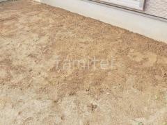 Ʃ�������