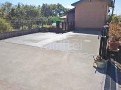 ��־쥬�졼���� �ڴ֥��󥯥꡼��