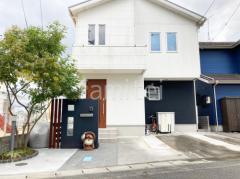 ��־쥬�졼���� �ڴ֥��󥯥꡼��