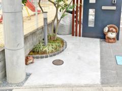 ��־쥬�졼���� �ڴ֥��󥯥꡼��