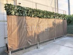 �����ե���ʽ �ѿ���� G10