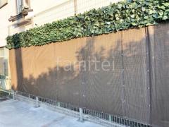 �ͥåȼ��� �ܼ�ٵ�