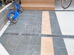 ����Ž�� �����