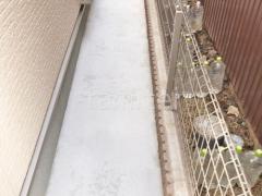 ������ �ڴ֥��󥯥꡼��