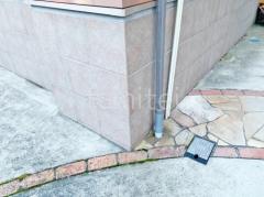 ���۴ɼ���