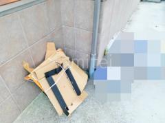 ���۴ɼ���