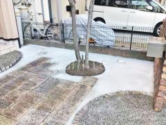 �ڴ֥��󥯥꡼��