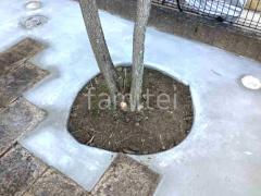 �ڴ֥��󥯥꡼��