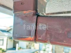 ���� ��������