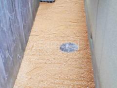 ������ �������ߤ� ���𥷡��Ȳù�