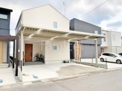 ��־쥬�졼���� �ڴ֥��󥯥꡼��