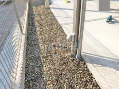 ���� �۴���³