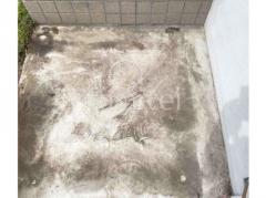 �֤�������ư��ե� ����ű��