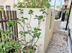 �ɤ��� ���ܥڥ���� �����ǥե�å���Si����