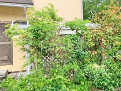 �ƥ饹�����佤