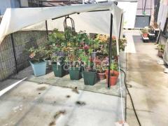 �ڴ֥��󥯥꡼��