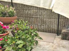 �ʹ���Ŵ��