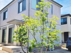 ���� �մ�������