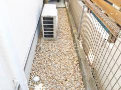 ������ �������ߤ� ���𥷡��Ȳù�