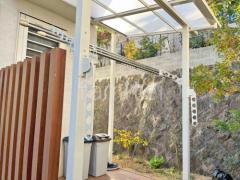 ���դ�ʪ����