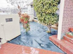 ���𥷡����ߤ�