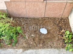 ����ű��