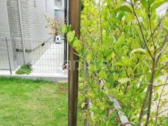 ���ο� �֥���