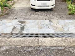 ����Ž�� ����� �бѴ�